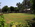 Lawn for Private parties, Sea Crest Beach Resort,Dahanu Dahanu Beach Hotel,Dahanu Beach Resort